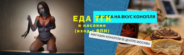 молекула духа Богданович