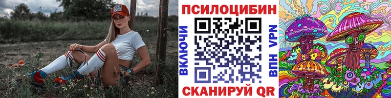 цена   Светлоград  Галлюциногенные грибы прущие грибы 