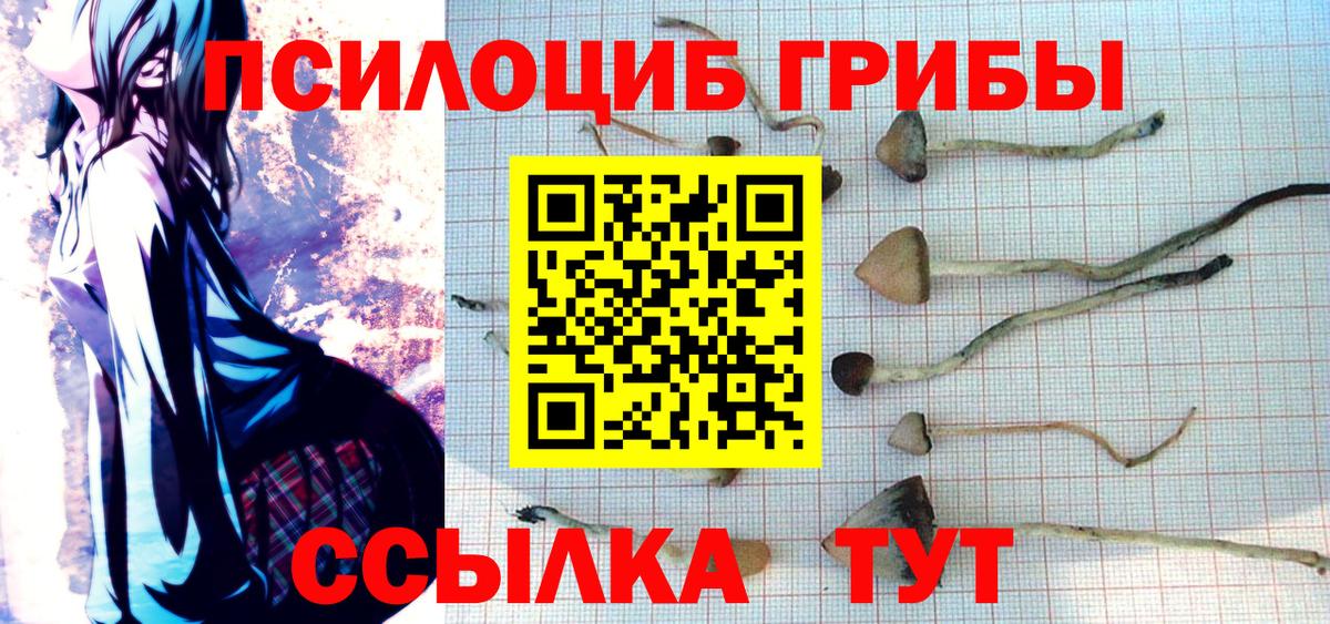 Псилоцибиновые грибы MAGIC MUSHROOMS Светлоград