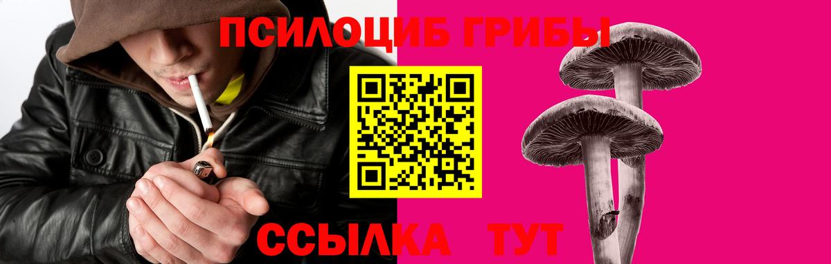 Галлюциногенные грибы Magic Shrooms  Галлюциногенные грибы прущие грибы  Вход с VPN  Светлоград 
